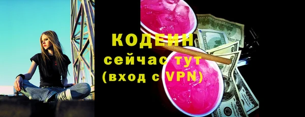 стафф Гусев