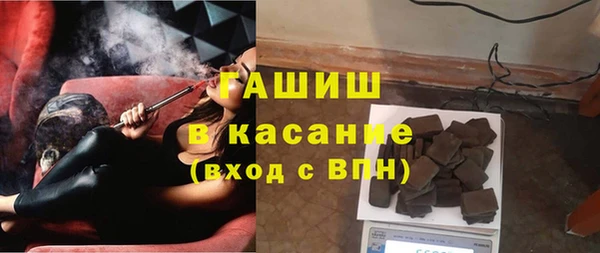 стафф Гусев
