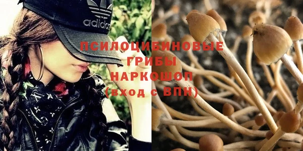 бошки Нижневартовск