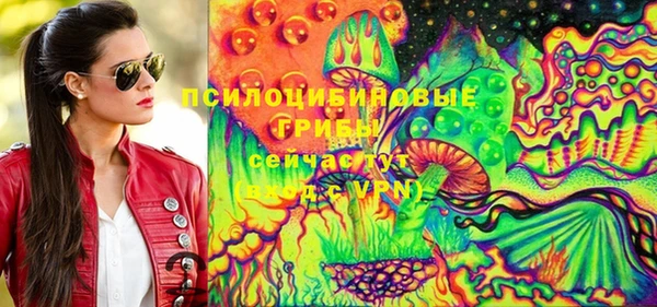 стаф Магадан