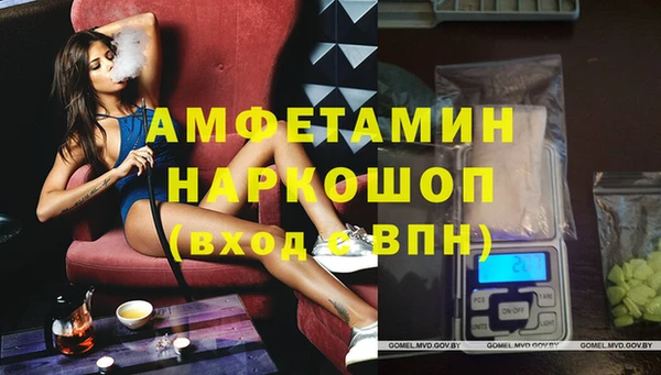 стафф Гусев