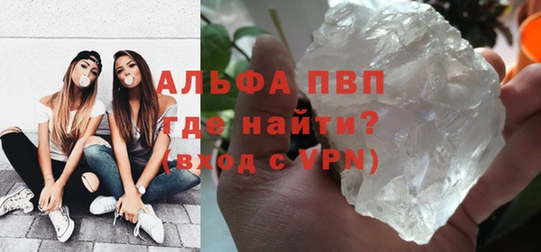 стафф Гусев