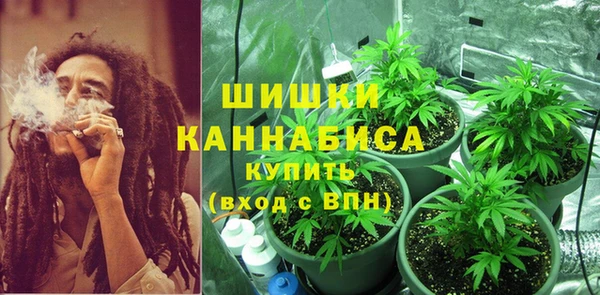 apvp Гусиноозёрск