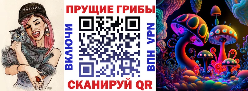 Галлюциногенные грибы Magic Shrooms  Дедовск 
