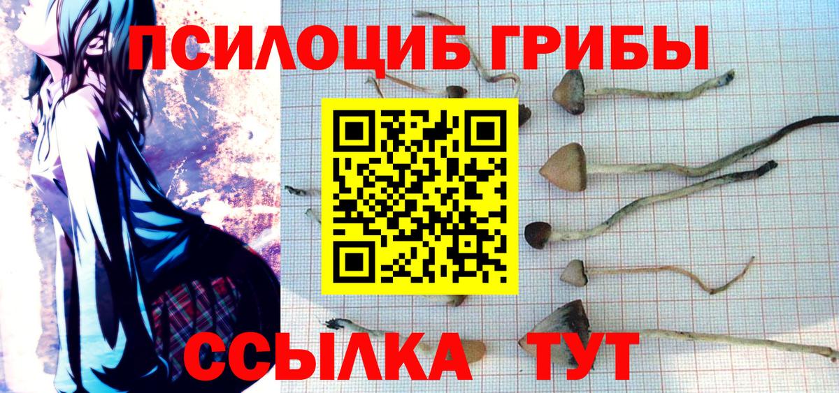 Галлюциногенные грибы Magic Shrooms Дедовск